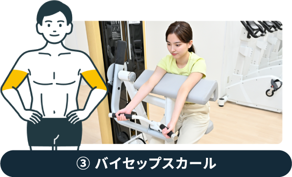③バイセップスカール