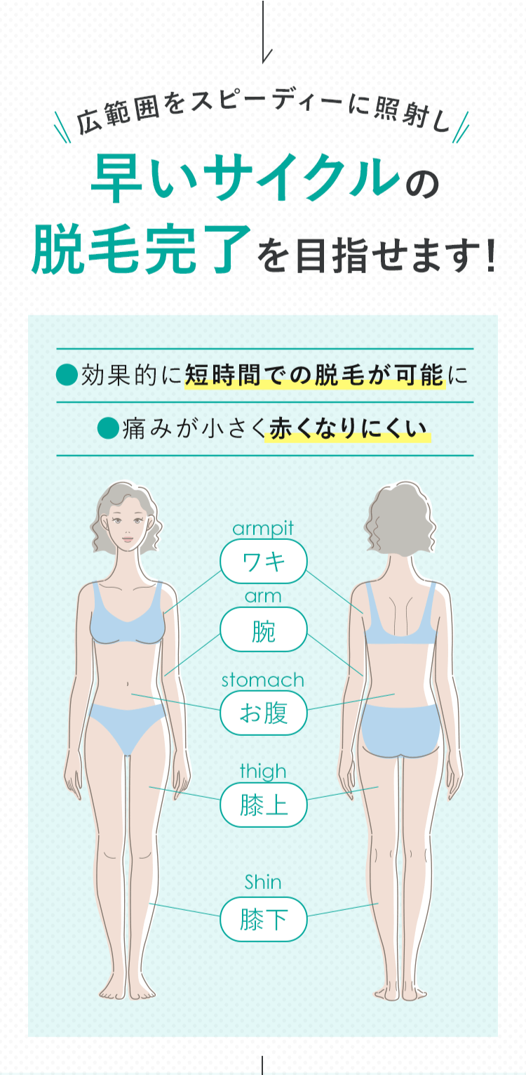 早いサイクルの脱毛完了を目指します