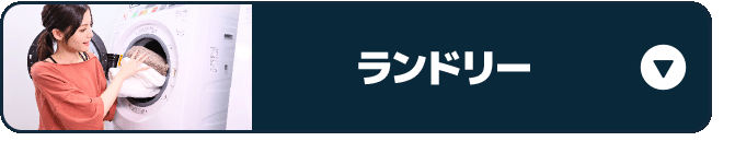 ランドリー