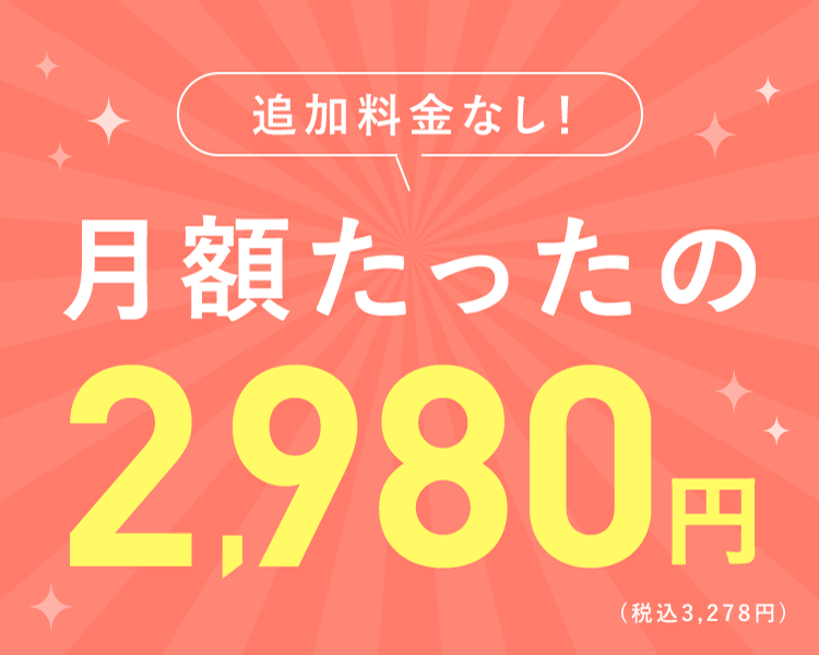 追加料金なし!月額経ったの2,980円
