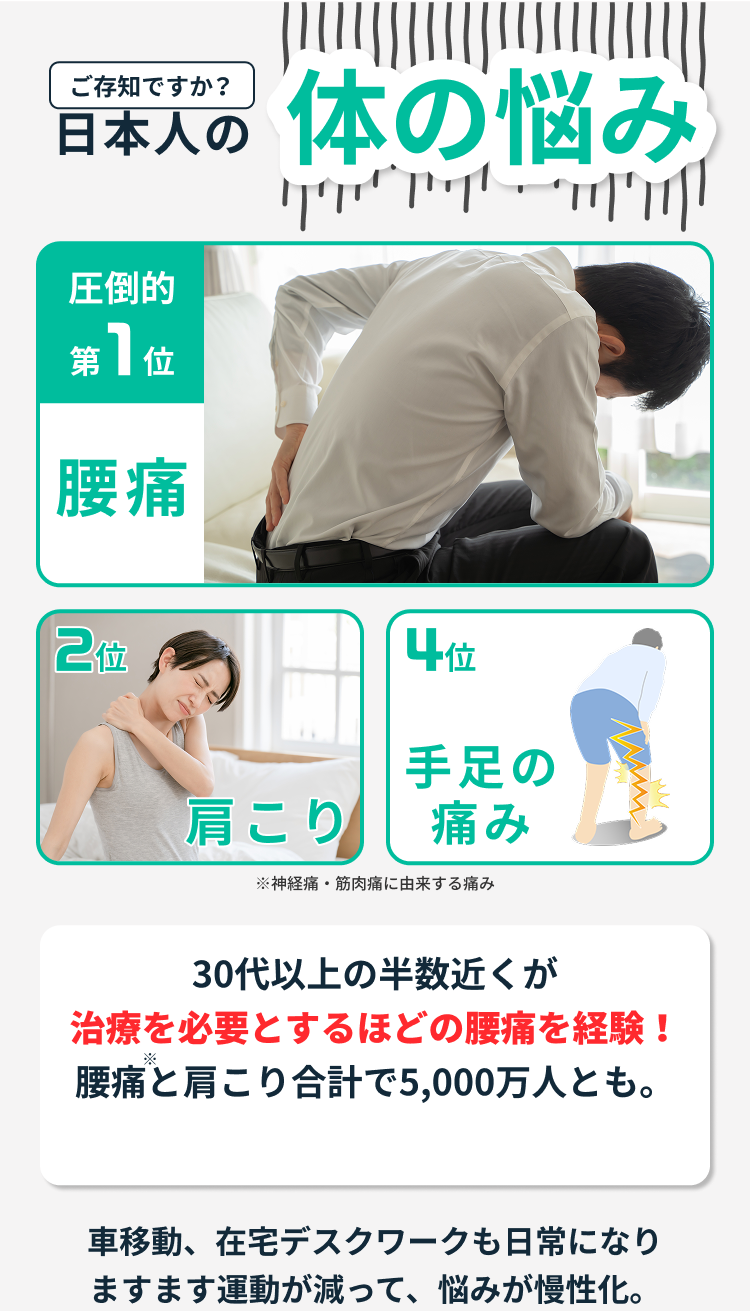 日本人の体の悩み